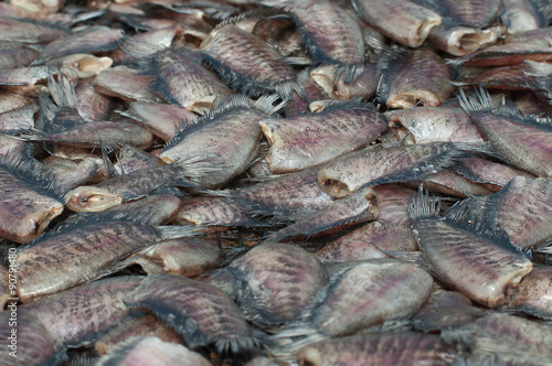  Dried Gourami fish
