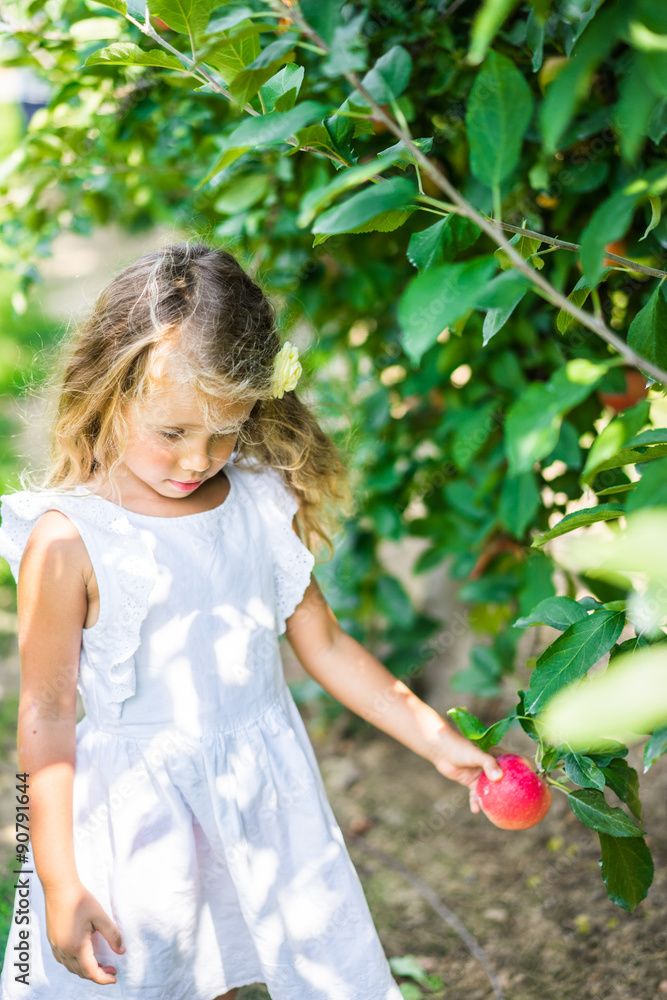 Cute girl is picking apples on the farm Cute girl is picking apples on the farm