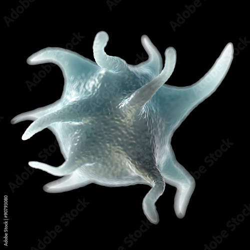 Foto activated blood platelet  illustration of  microscopic photos