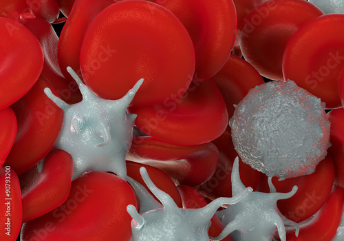 red blood cells,activated platelet and white blood cells microscopic photos photo