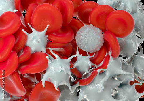 red blood cells,activated platelet and white blood cells microscopic photos photo