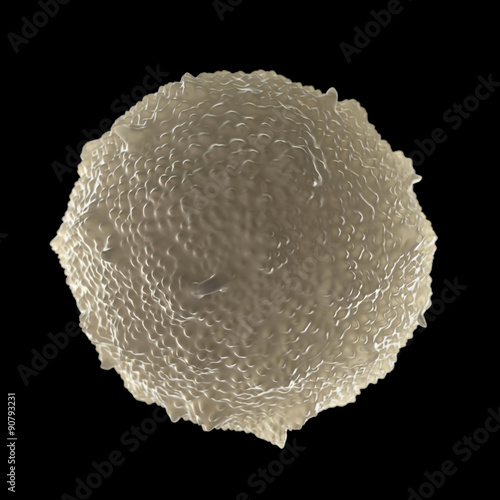 Obraz na plátne white blood cell (leucocyte)