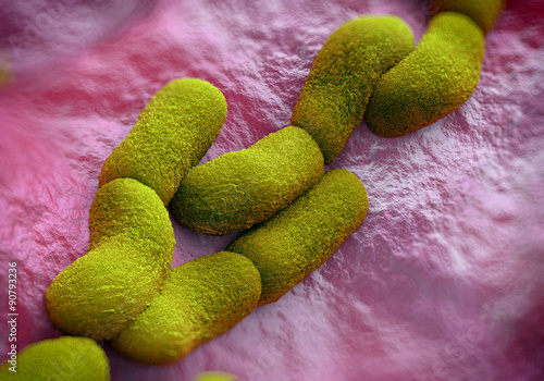 Yersinia pestis (plague) bacteria photo