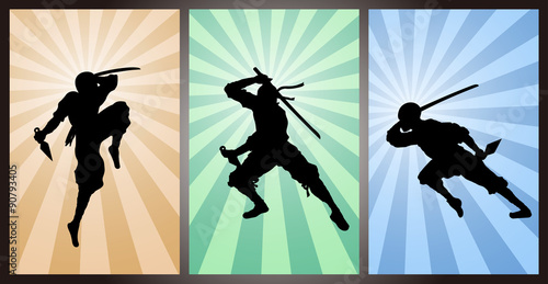 Japanese assassin, ninja