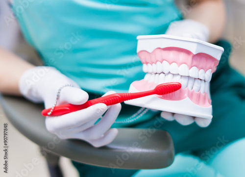 Woman dentist hygienist orthodontist in medical gloves holding jaw model and teaching the right technique of cleaning teeth properly and right with red tooth brush