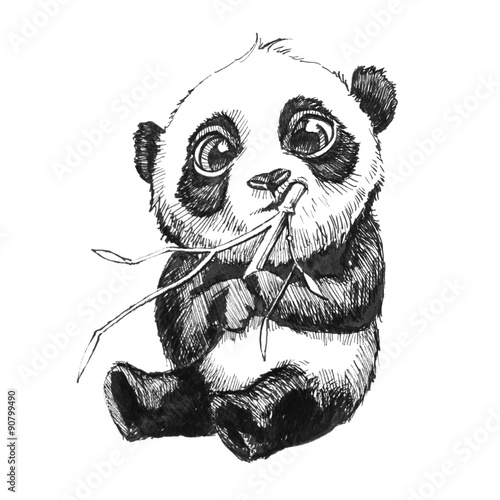 cute adorable baby panda bear illustration, hand drawn sketch of panda bear e...