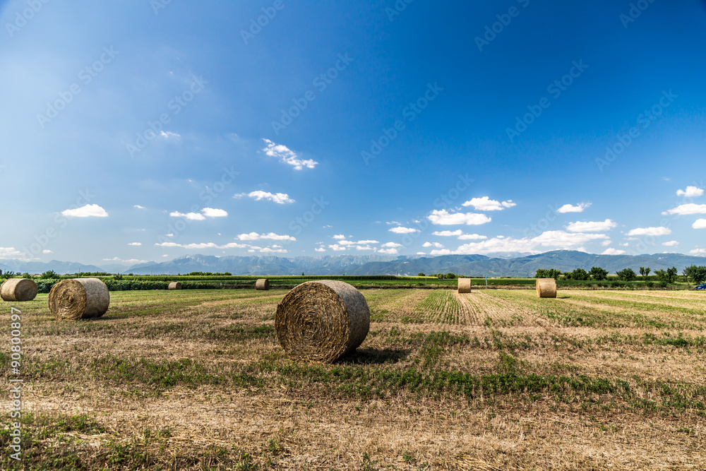 hay bale in the fields of italy