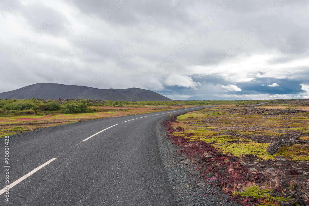 Icelandic natural landscape at summer time