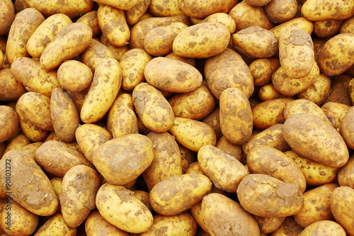 Organic potato background