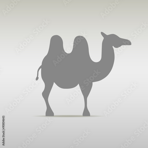 Camel Logo design template silhouette. Desert Travel