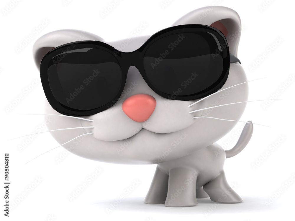 Fun cat Fun cat