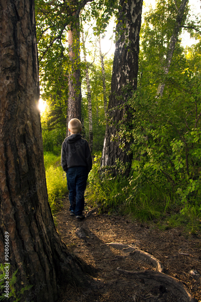 Child alone in forest