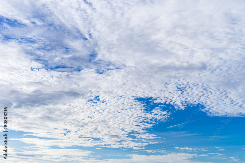 Fototapeta premium blue sky