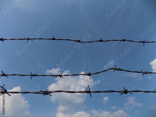 Barbed wire and sky