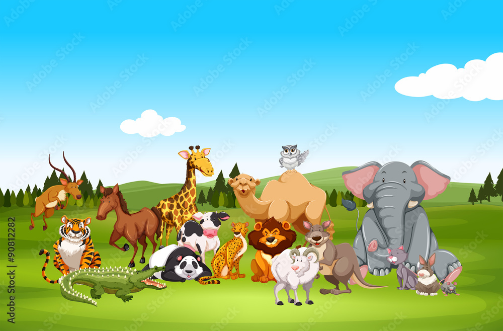 Obraz premium Wild animals in nature
