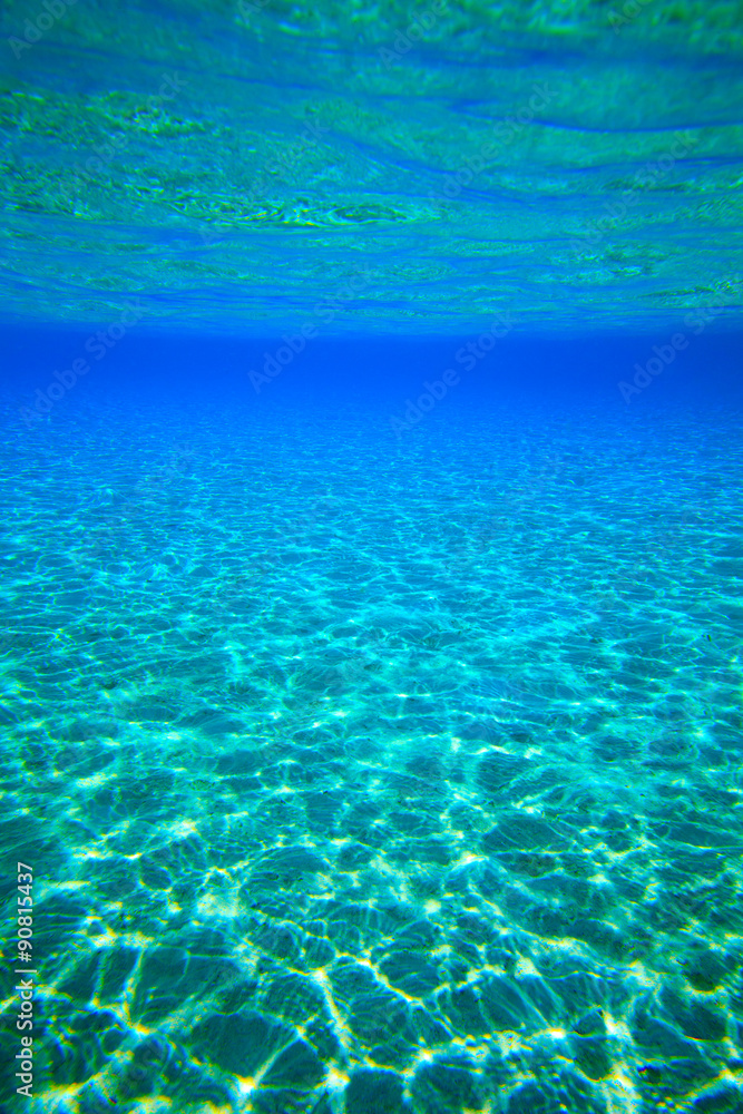 Fototapeta premium underwater