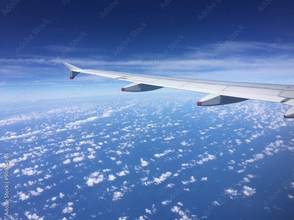 Fototapeta premium Flug