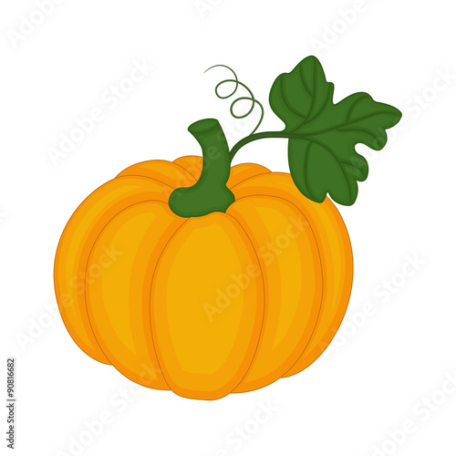 Autumn Pumpkin