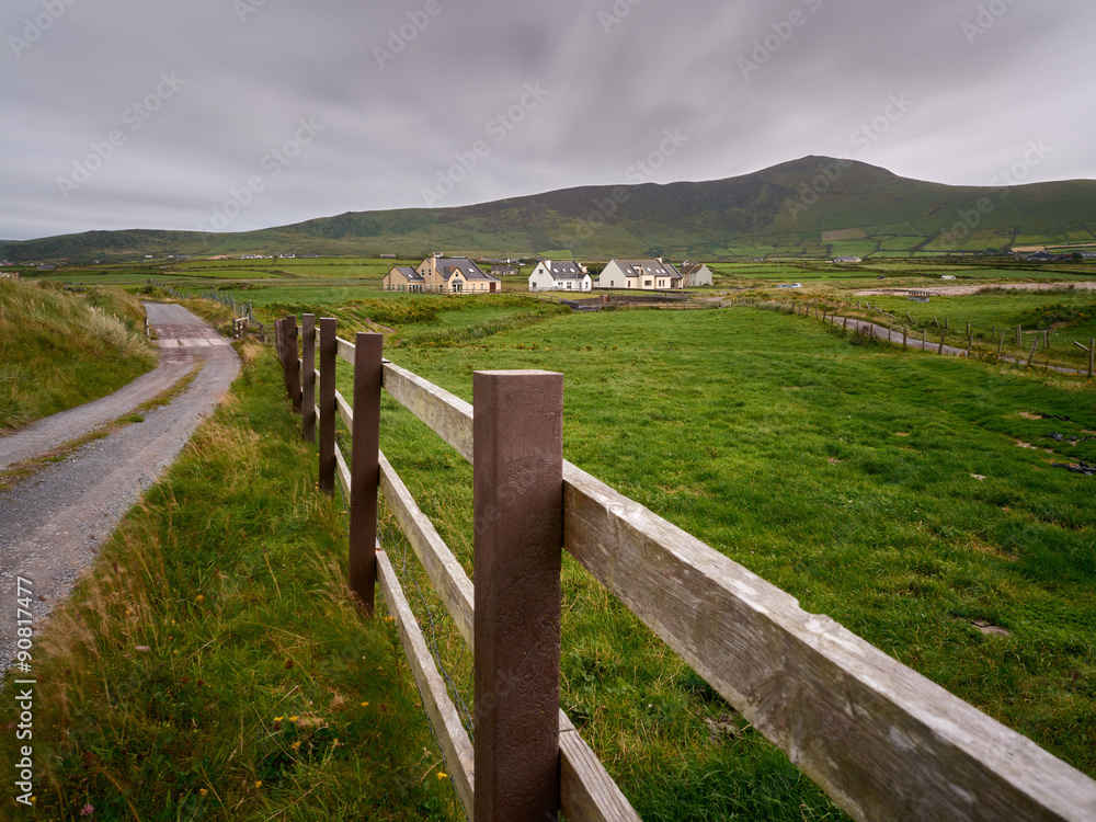 Typical Irish houses