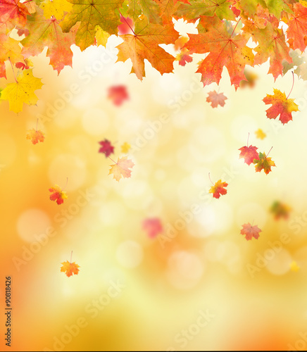 autumn background © Jag_cz