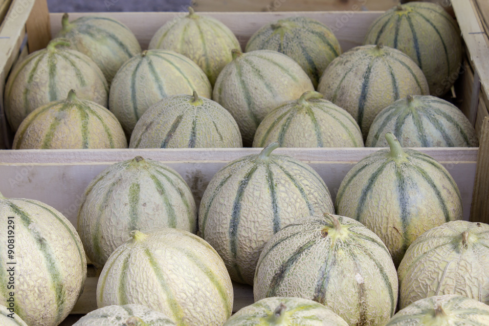 Melons 01 Melons 01