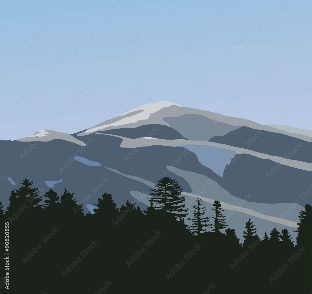 Naklejka premium Mountain in the forest