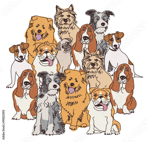 Group dogs color isolate on white