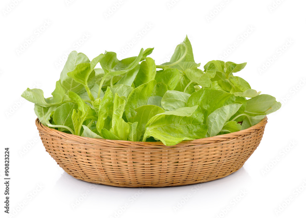 spinach in the basket on white background spinach in the basket on white background
