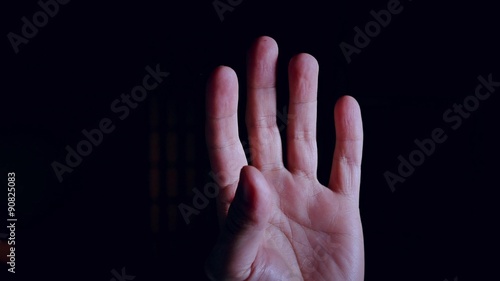 A Human Hand in Detail