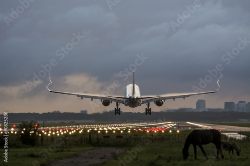 Plane is flying to the runway. Nice cloudy background. Horse is standing with his young foal in front of the runway. Vortex behind.