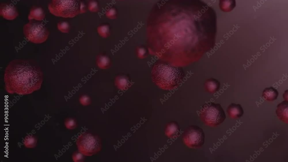 Blood Cells in Body Animation Blood Cells in Body Animation