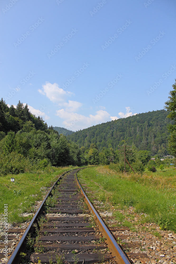 landscape Forest Railway.....