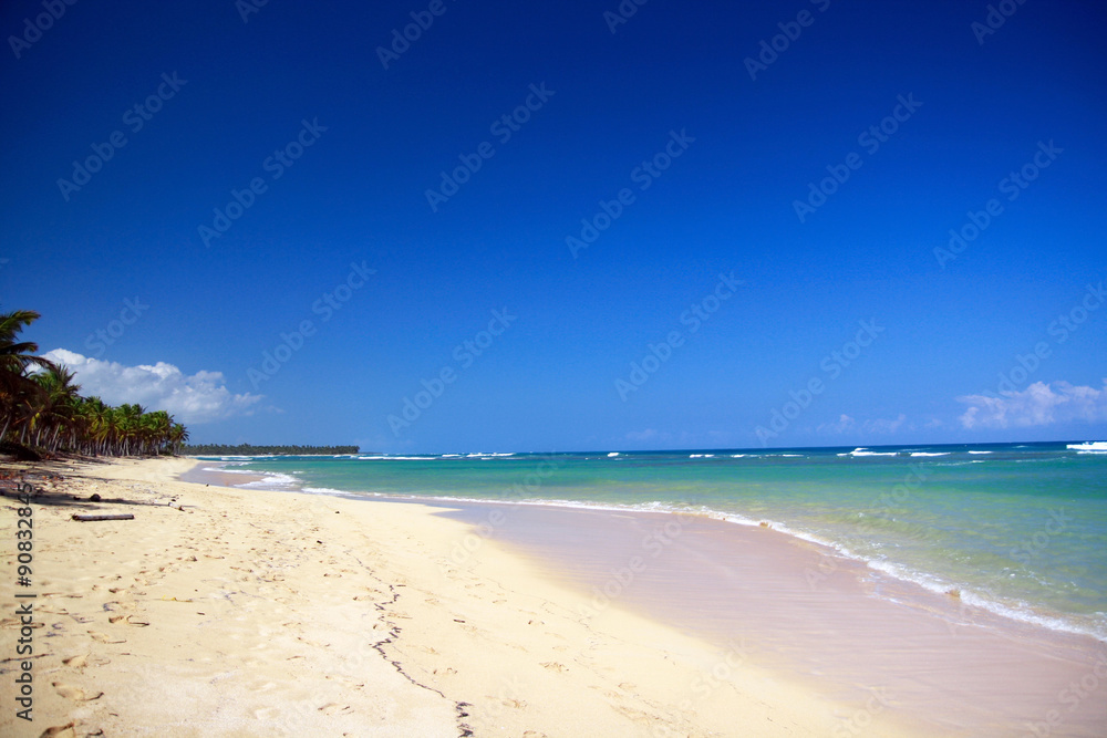 Tropical sandy beach on caribbean sea
