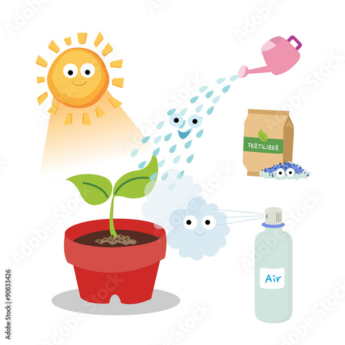 Vital needs of a plant. Plants need sunlight, fertilizer, air, and water.