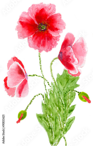 poppies