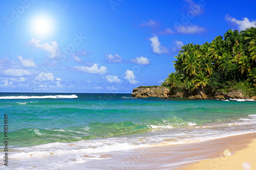 Palm forest on caribbean beach with blue sky
