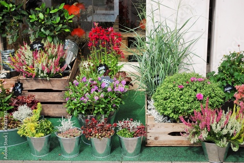 Fototapeta Naklejka Na Ścianę i Meble -  Schöne Warenpräsentation in einem Blumenladen