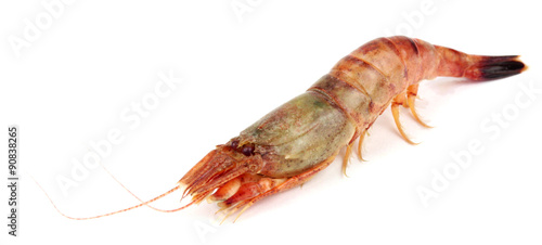 Raw tiger shrimp on white. Isolated on a white background.