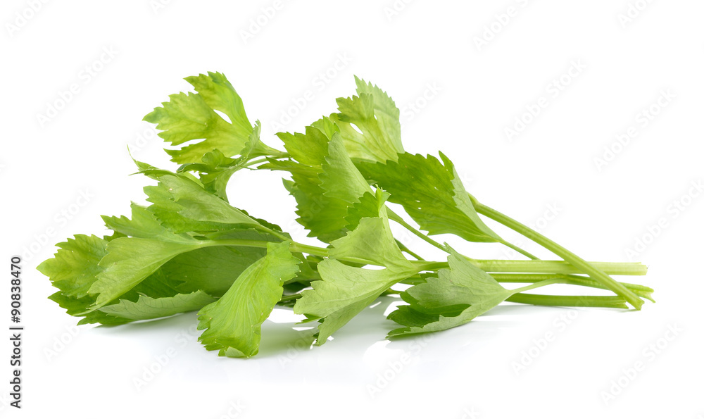 Fresh green celery isolated on white background Fresh green celery isolated on white background