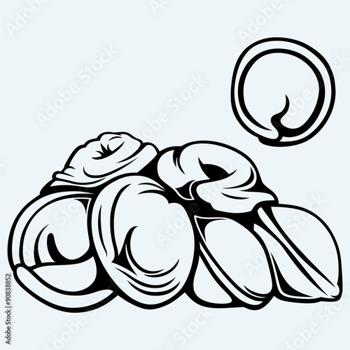 Ukrainian traditional pelmeni with meat. Isolated on blue background