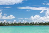 Palm coastline on caribbean sea, Saona