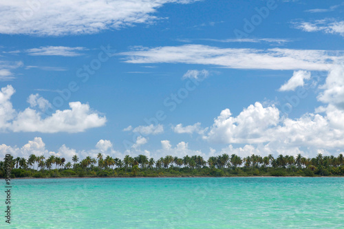 Palm coastline on caribbean sea, Saona © photopixel