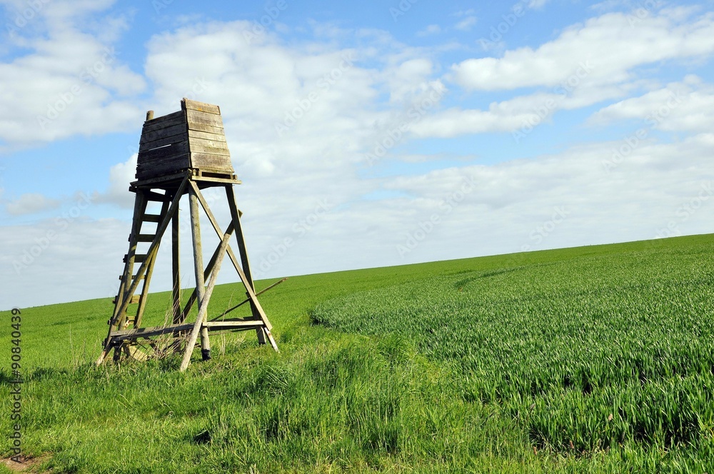 Naklejka premium Wandern in der Dahlener Heide