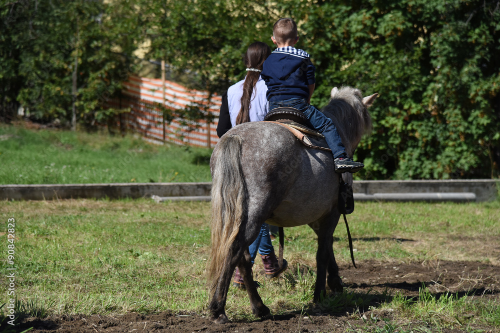 cavalcare pony bambini a cavallo sport equitazione 