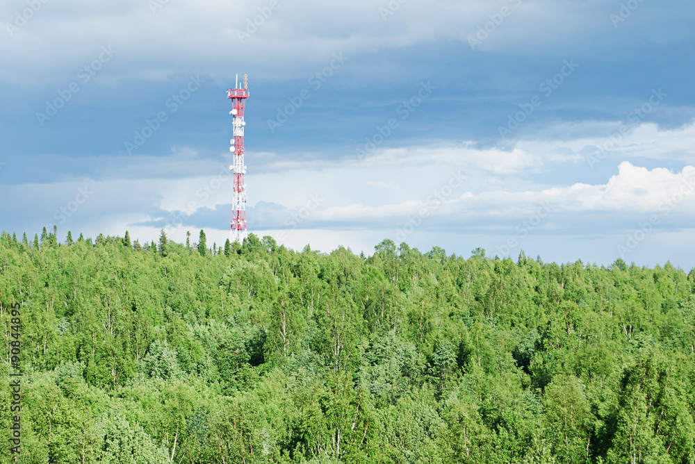 Obraz premium The cell tower