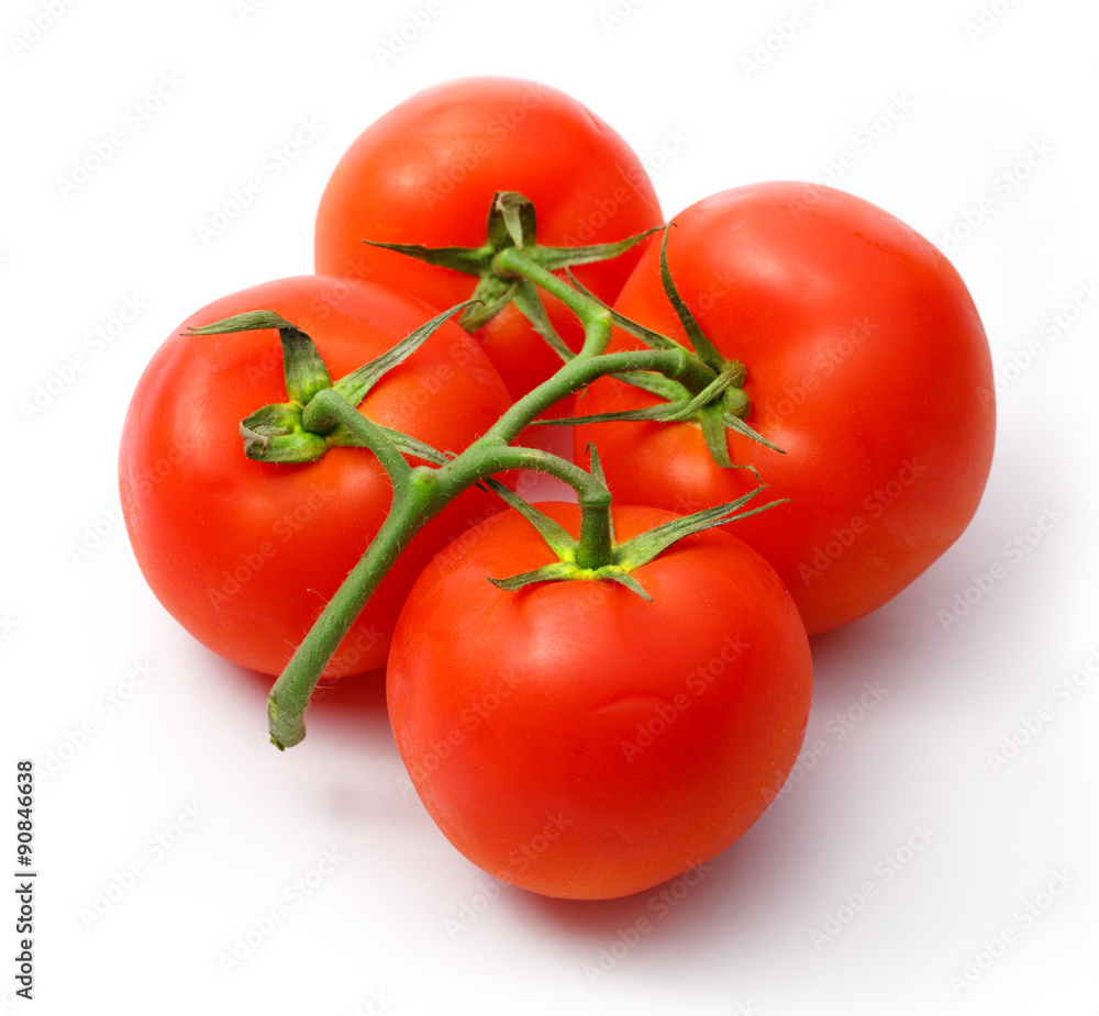 Tomatoes Tomatoes