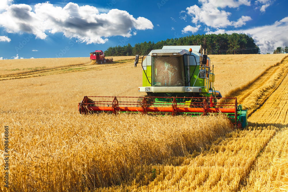 Fototapeta premium combine harvester