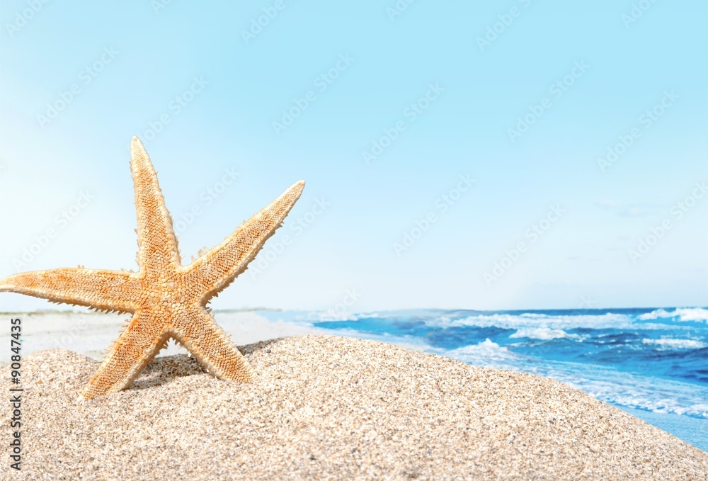 Beach starfish.