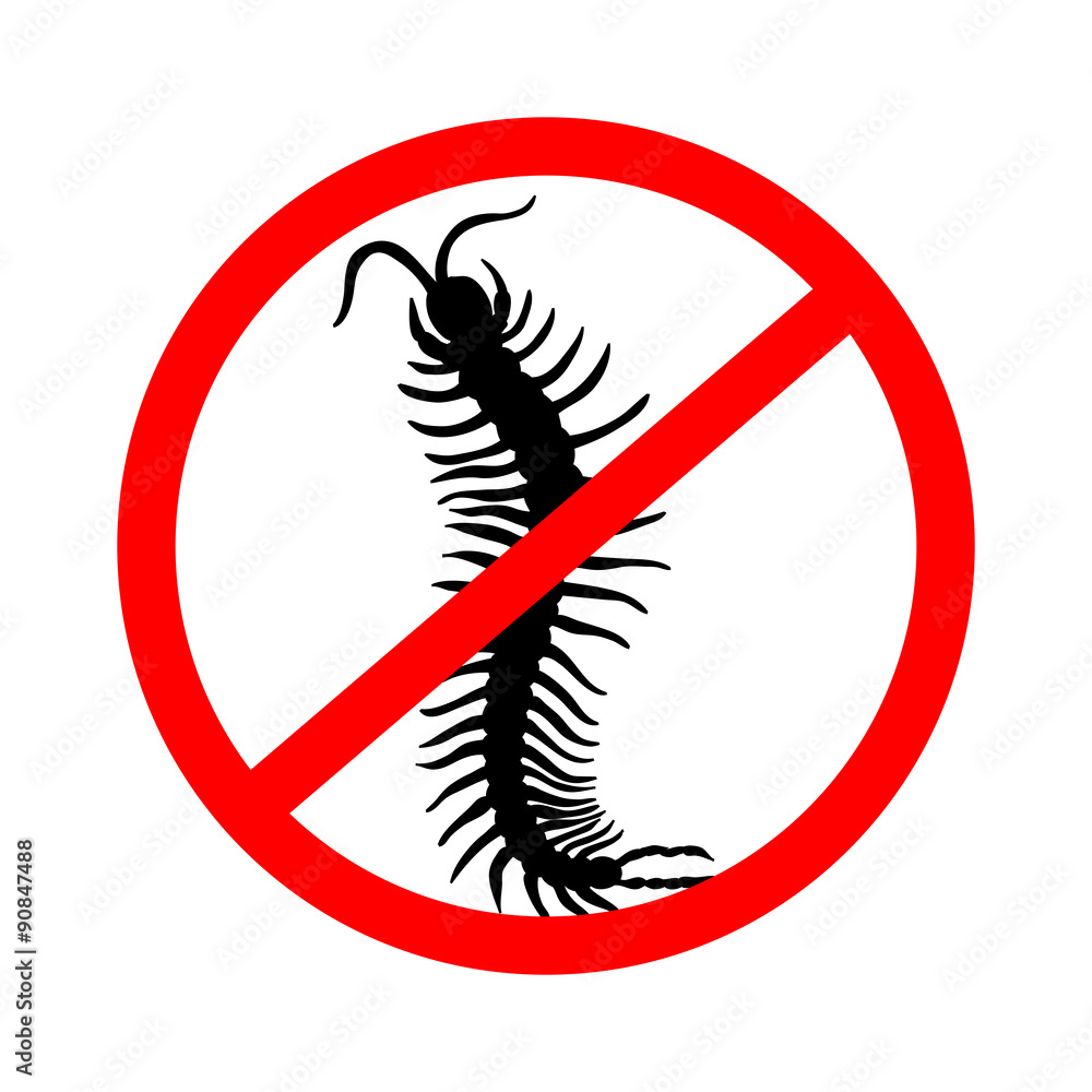 hand-drawn centipede cartoon, insect icon. vector 