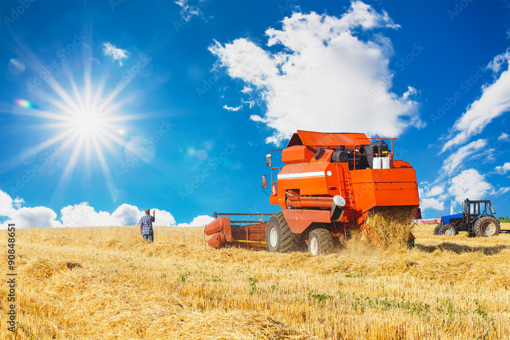 Fototapeta premium combine harvester